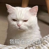 Suni_的头像