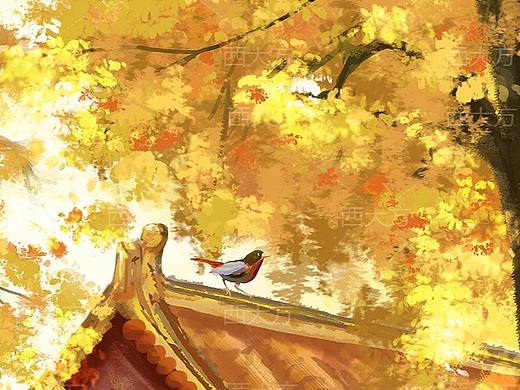 夏天成了故事  秋天成了风景