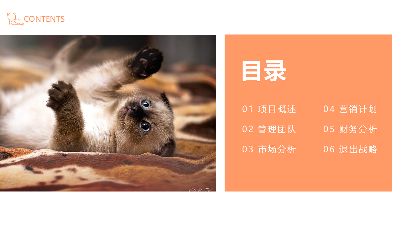 宠物医院商业计划书（图ZMTkzODkzMTg0） - PPT/Keynote - 站酷设计师枭sir原创素材 - 站酷ZCOOL