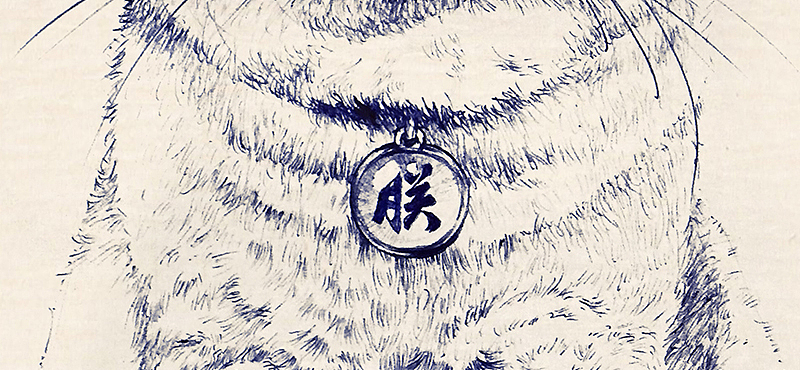 圆珠笔画猫科动物（图ZNDY4NTY2Njg=） - 艺术插画 - 站酷设计师BIUBIU已经被注册原创素材 - 站酷ZCOOL