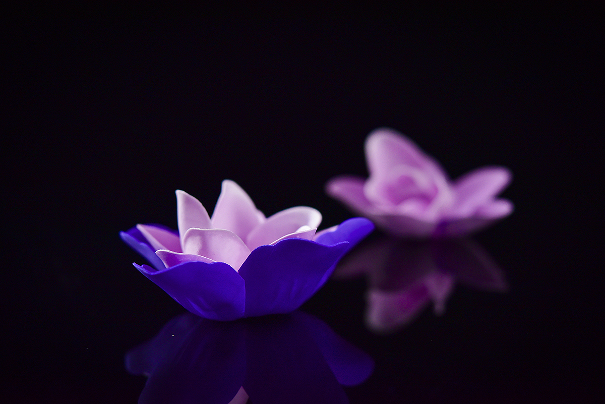 静物摄影 | 玫瑰皂