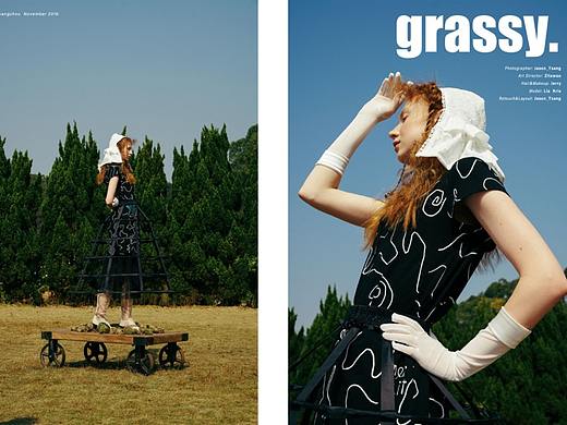 VISUP  X「 Grassy 」商业案例