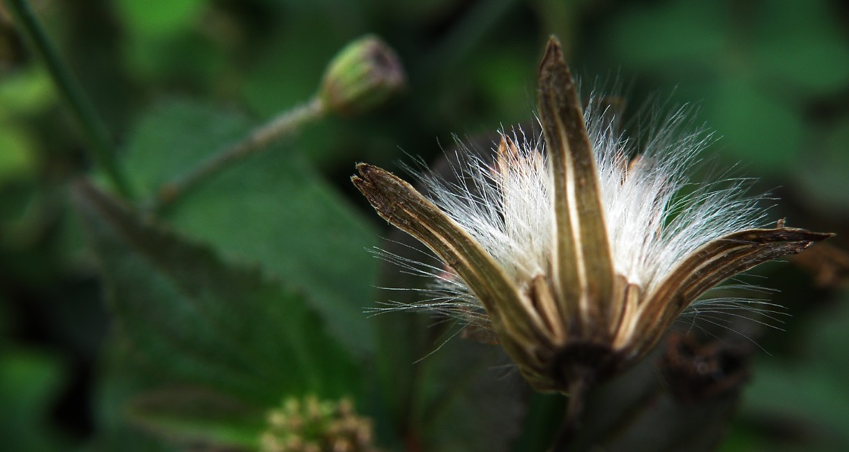 生活杂拍（图ZMjQ4ODYzMg==） - 风光摄影 - 站酷设计师lmzlucky12原创素材 - 站酷ZCOOL