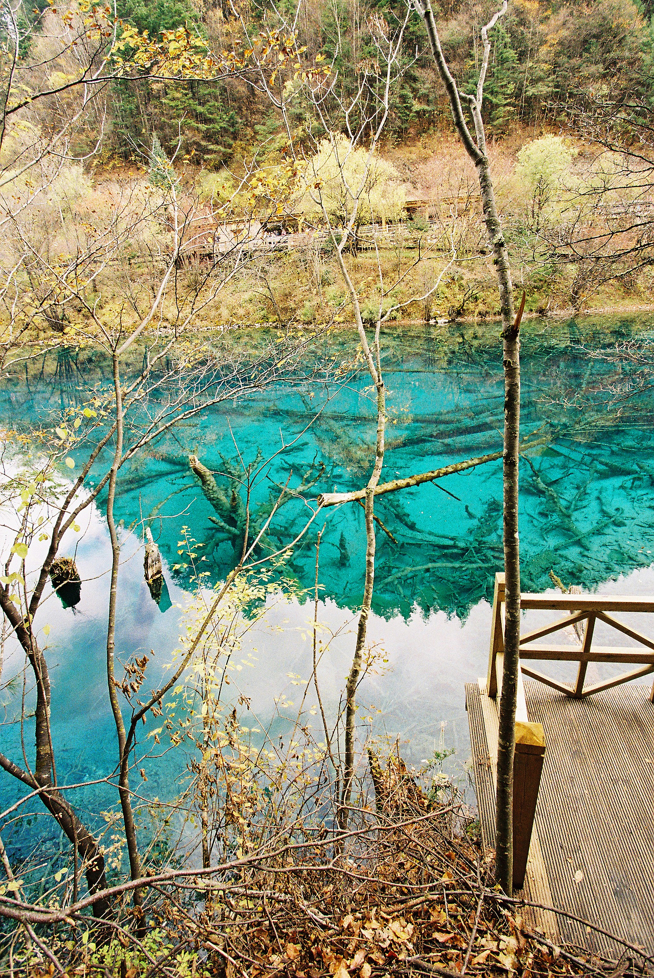 九寨天堂（图ZMTQzNzEwOTI=） - 风光摄影 - 站酷设计师沈师傅么么茶原创素材 - 站酷ZCOOL