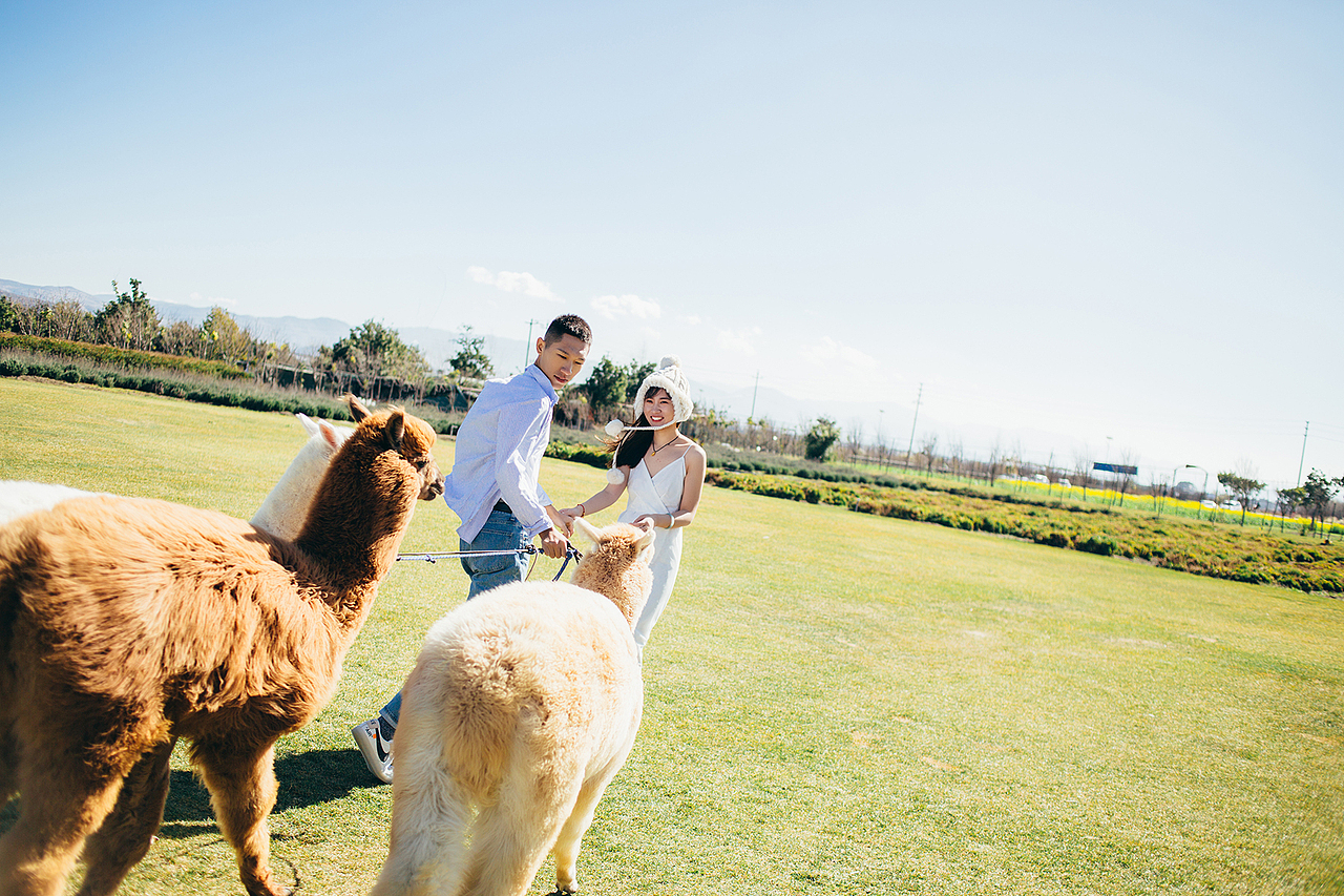 大理婚纱照（图ZMTk0MjQ1MjYw） - 人像摄影 - 站酷设计师花屿集原创素材 - 站酷ZCOOL