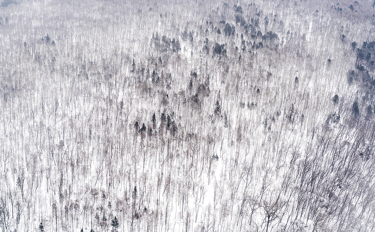 从北京飞往长白山的航班上拍的