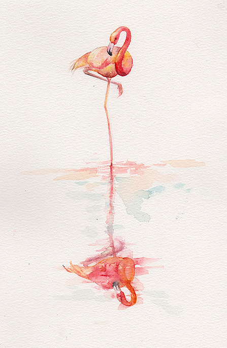 水彩练习《火烈鸟4》