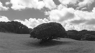 instant tomorrow（图ZODc2MDAwNDA=） - 人像摄影 - 站酷设计师钱文卓Walden原创素材 - 站酷ZCOOL