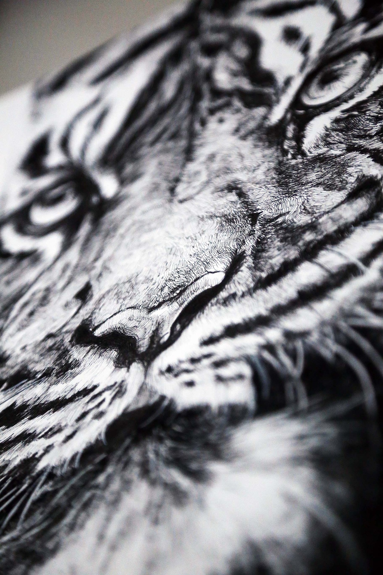 心有猛虎 細嗅薔薇（图ZMjc5MjM2Njg=） - 商业插画 - 站酷设计师Diannnn原创素材 - 站酷ZCOOL