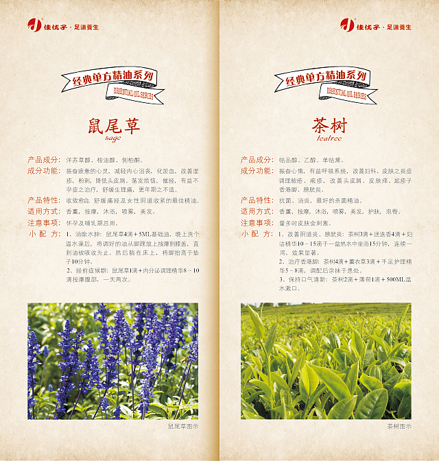 养生小册子 画册 中国风 产品说明 产品手册 古典画册