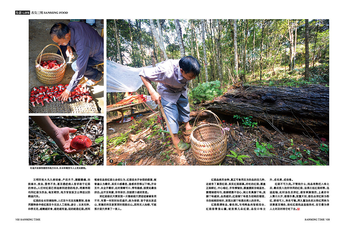 《时代三明》杂志-三明的源-封面图片·节孝坊