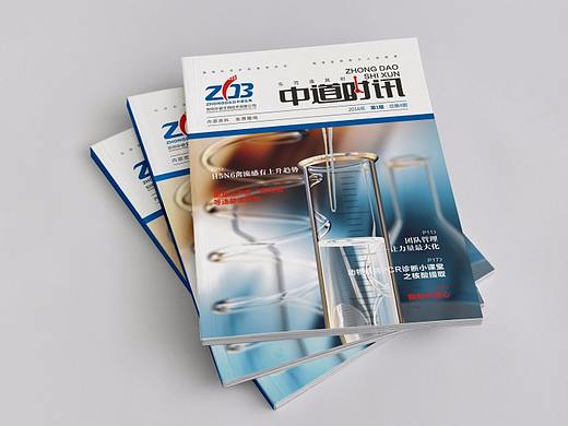 《中道时讯》期刊创刊策划设计执行