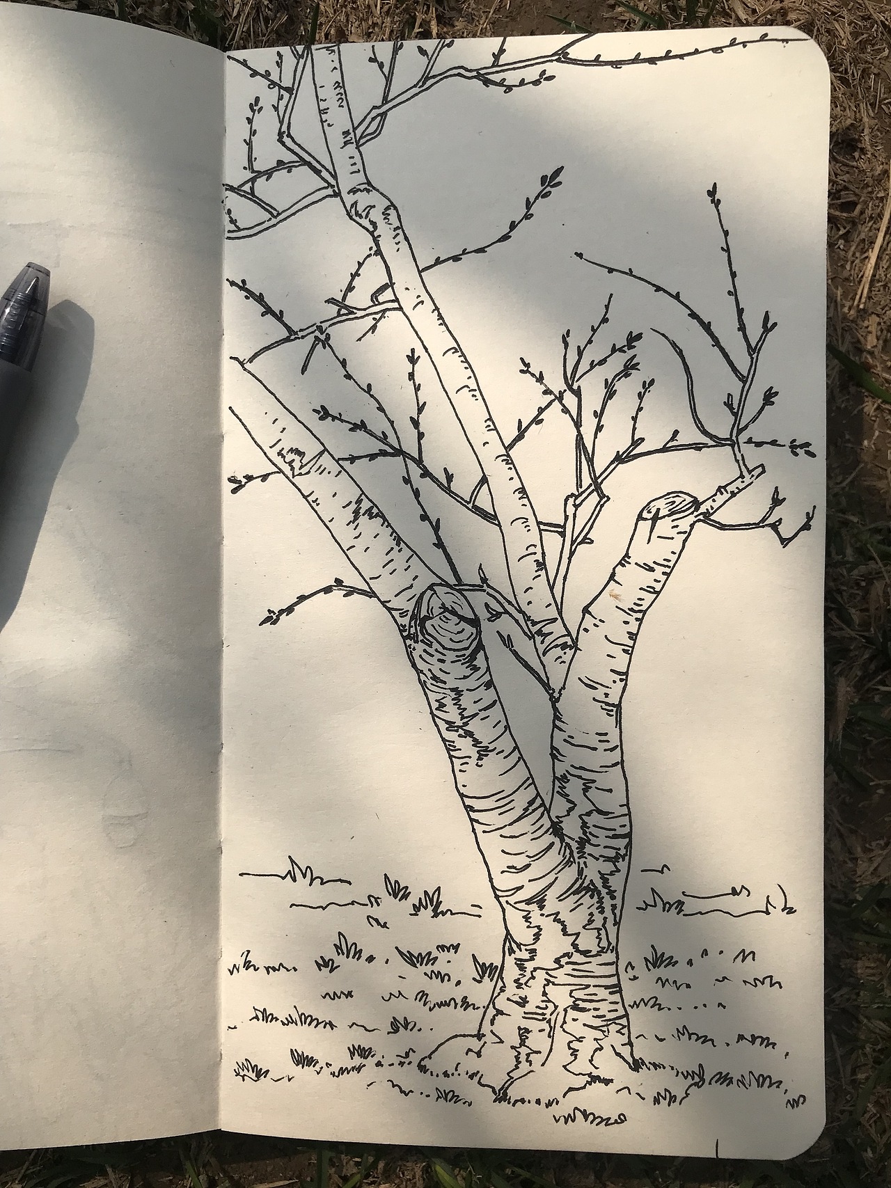 最近的一些速写