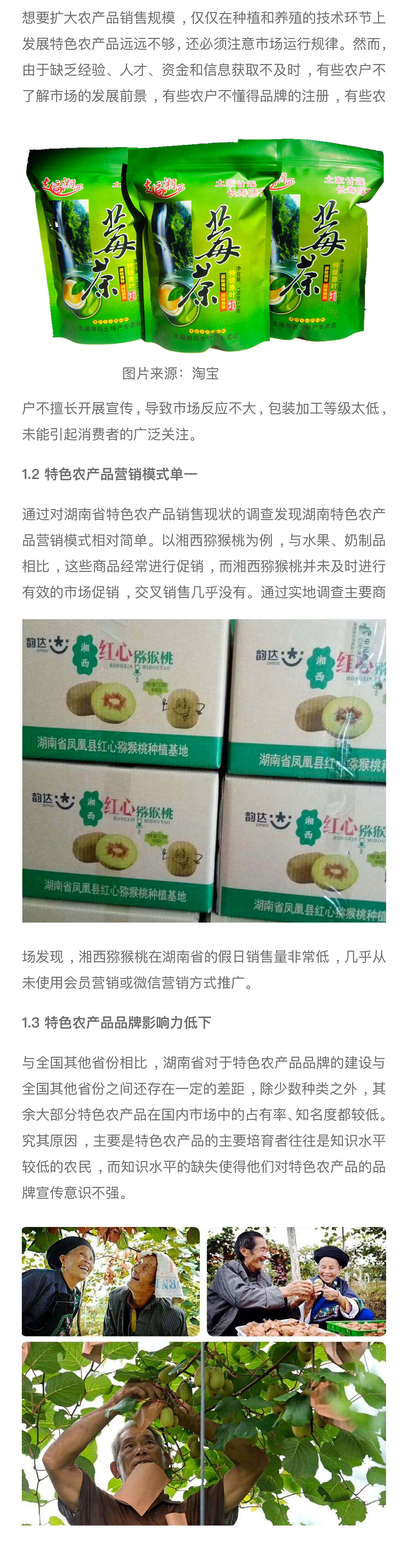 湘韵尚品/品牌全案策划设计（图ZMjM5NTg3NzA0） - 品牌 - 站酷设计师天门传媒原创素材 - 站酷ZCOOL