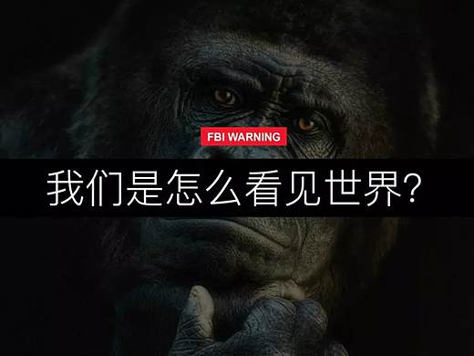 为什么你的设计看起来很乱