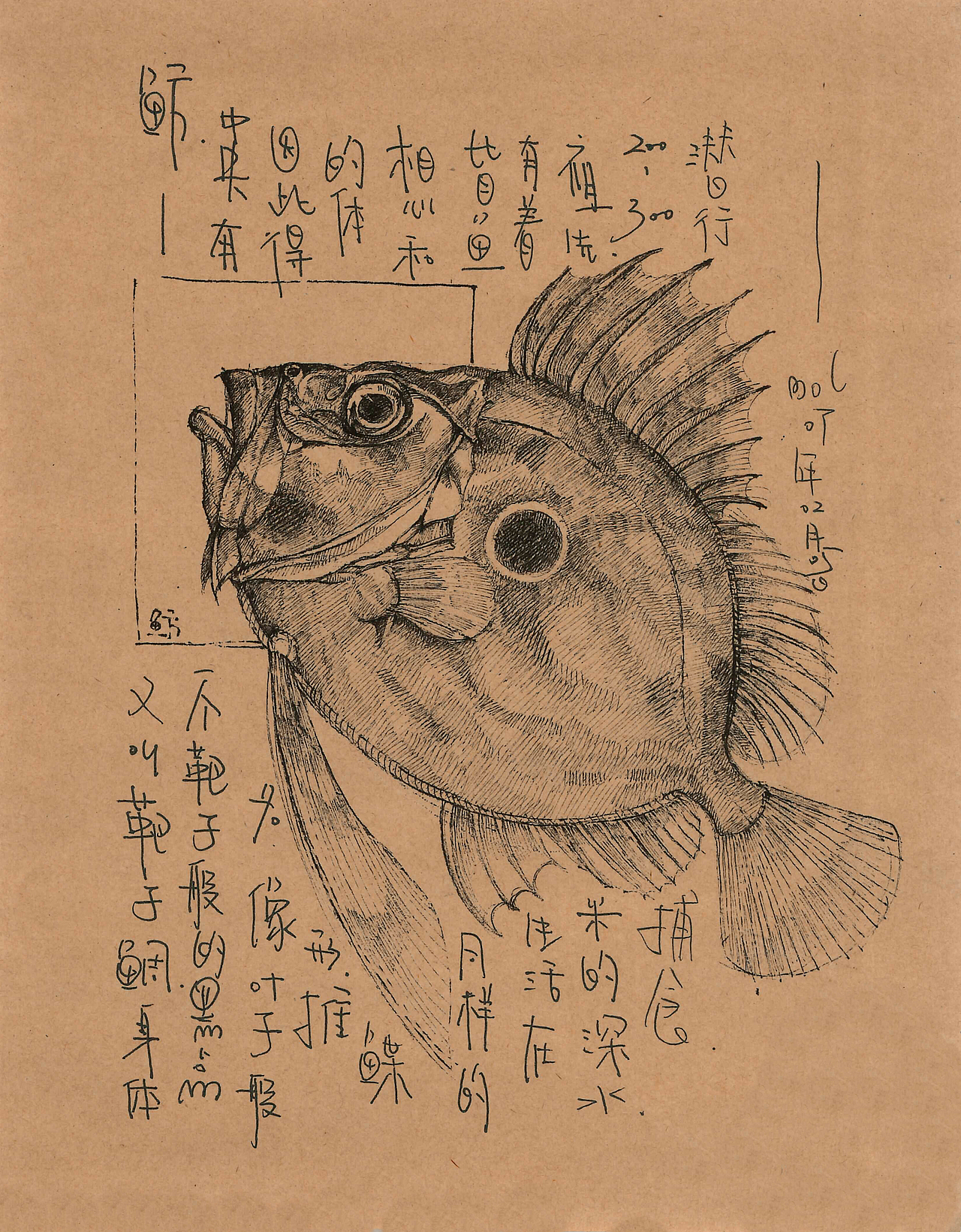 这个关于海鲜的插画手稿（终）（图ZMTM2ODExMDY4） - 创作习作 - 站酷设计师daimol原创素材 - 站酷ZCOOL