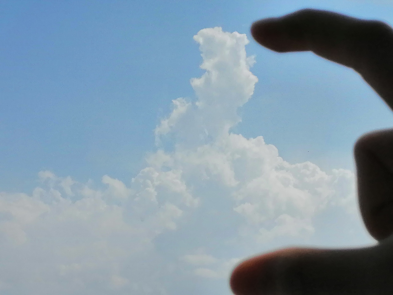 生活中不经意的美