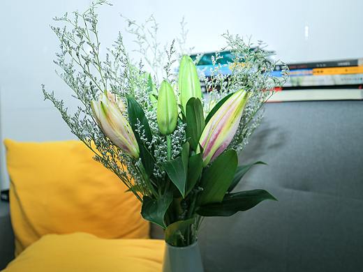 百合花小清新照片