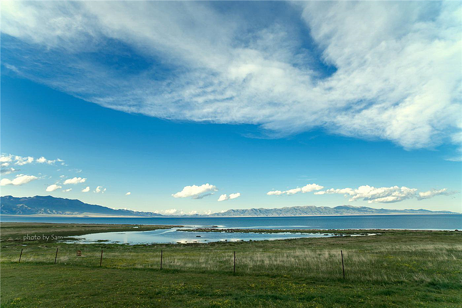 蛋花花蛋花花蛋花花蛋花花蛋花花蛋花花蛋花花蛋花花