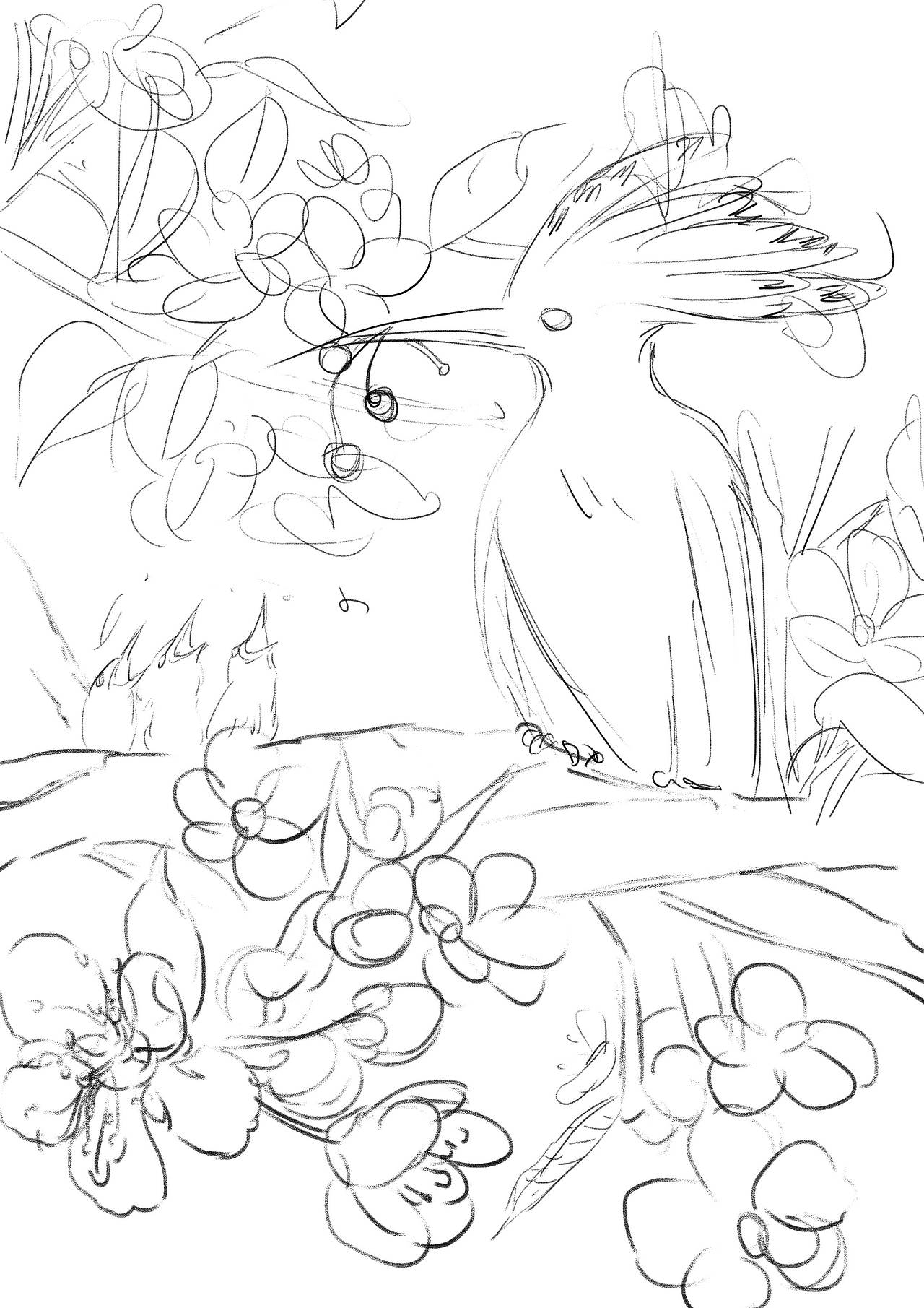 写实动物场景鸟类昆虫 | 彩铅封面🍃（图ZMjk3NDI3NDg0） - 商业插画 - 站酷设计师觅米卜卜原创素材 - 站酷ZCOOL