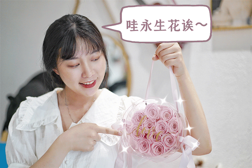 动图GIF特效 02