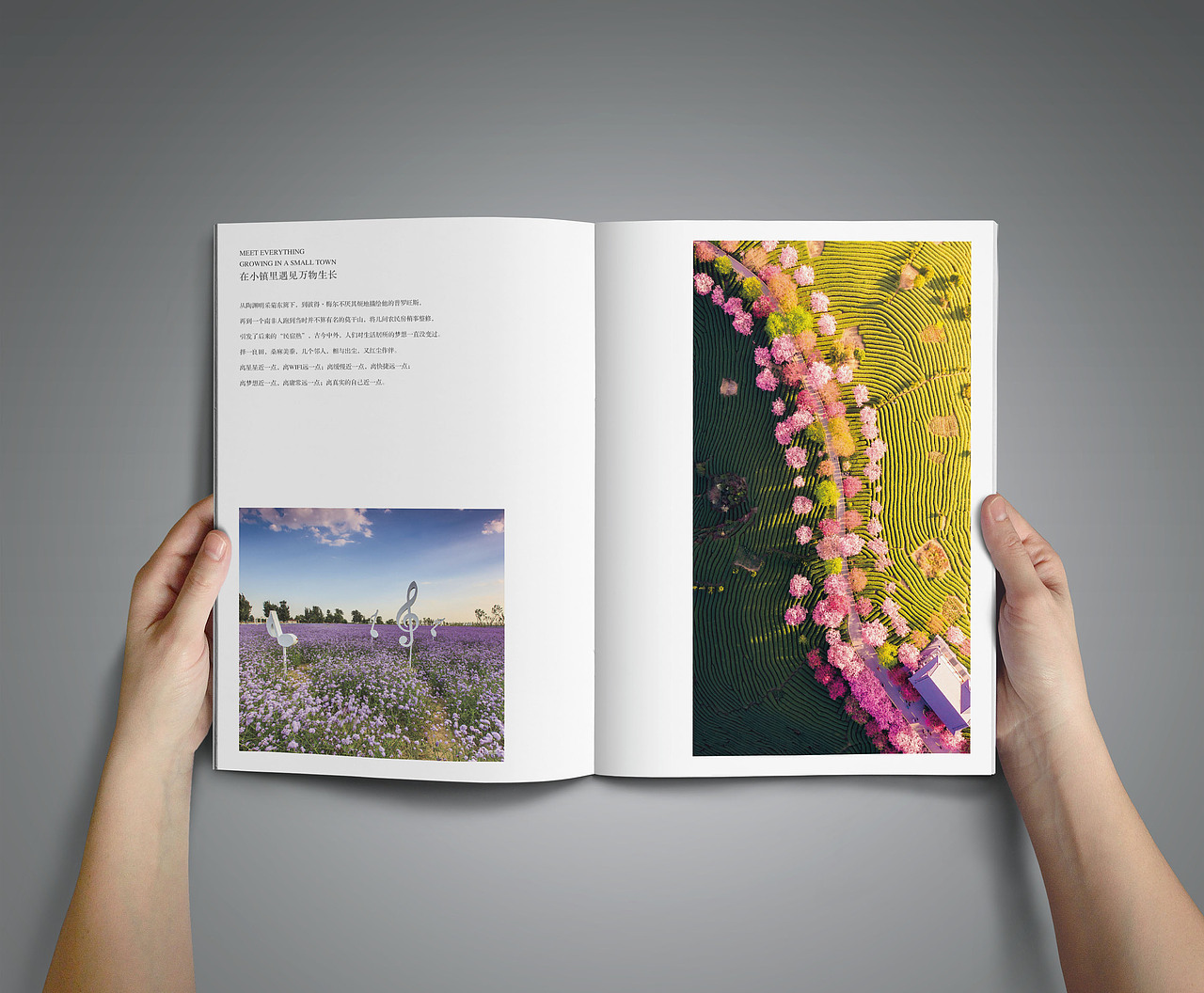 畫冊（圖ZMzQ3MjE1OTky） - PPT/Keynote - 站酷設(shè)計師zhang_leilei原創(chuàng)素材 - 站酷ZCOOL