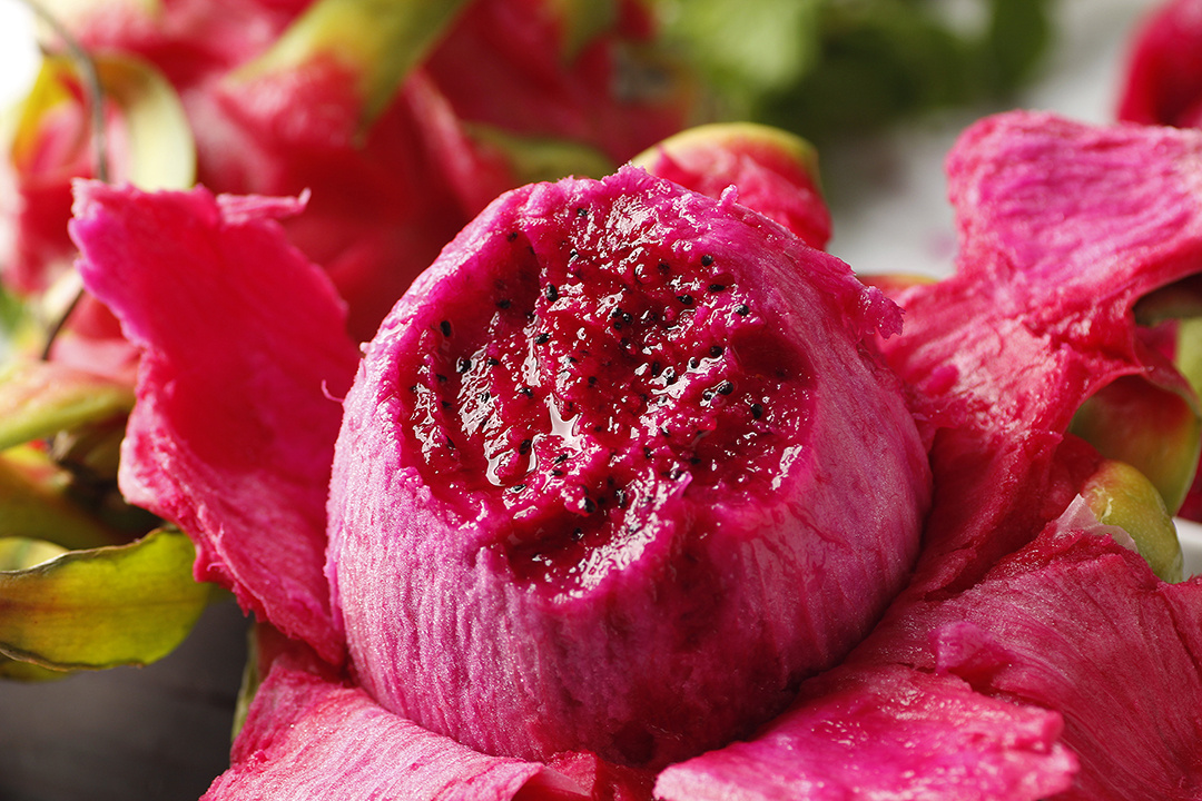 越南红心火龙果拍摄丨飞鸟电商