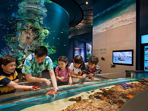 Experiential Museum