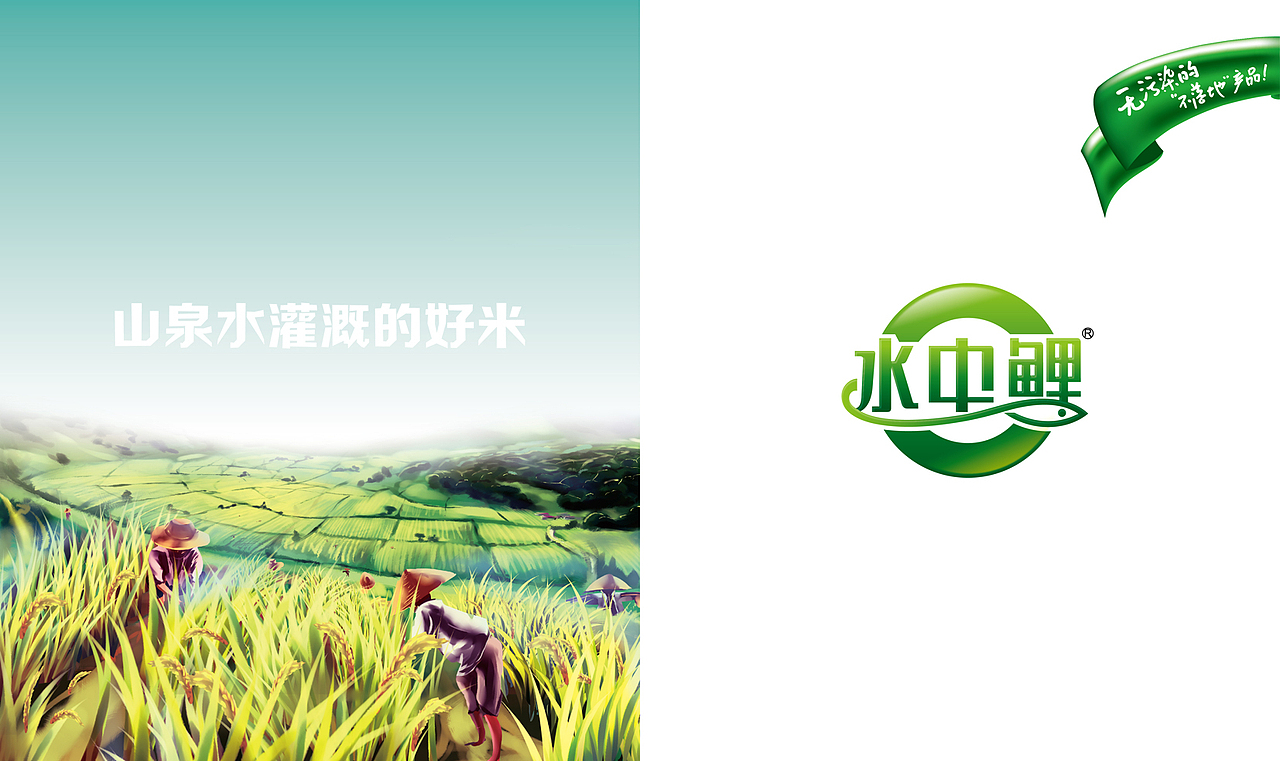 智多邦——水中鲤大米品牌设计 大米包装设计 食品品牌设计 食品包装设计（图ZMjc4Mjk5NDA=） - 包装 - 站酷设计师智多邦原创素材 - 站酷ZCOOL