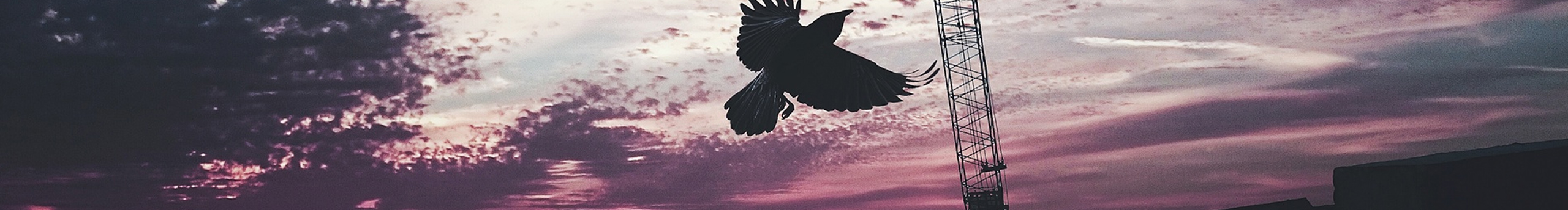 馬羊Yang的個(gè)人主頁(yè)（封面預(yù)覽） - 主頁(yè)封面設(shè)置 - 站酷設(shè)計(jì)師馬羊Yang原創(chuàng)素材 - 站酷ZCOOL