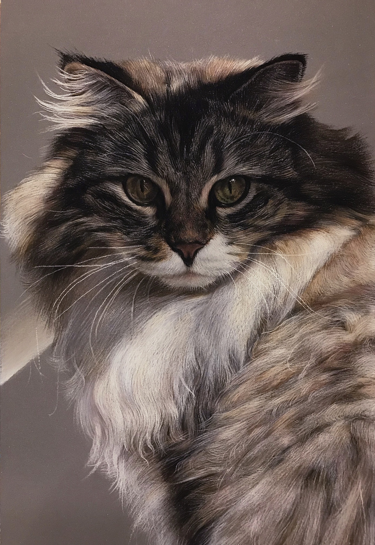 01（图ZMjEyMzMwNzcy） - 绘画 - 站酷设计师暖山与光海原创素材 - 站酷ZCOOL