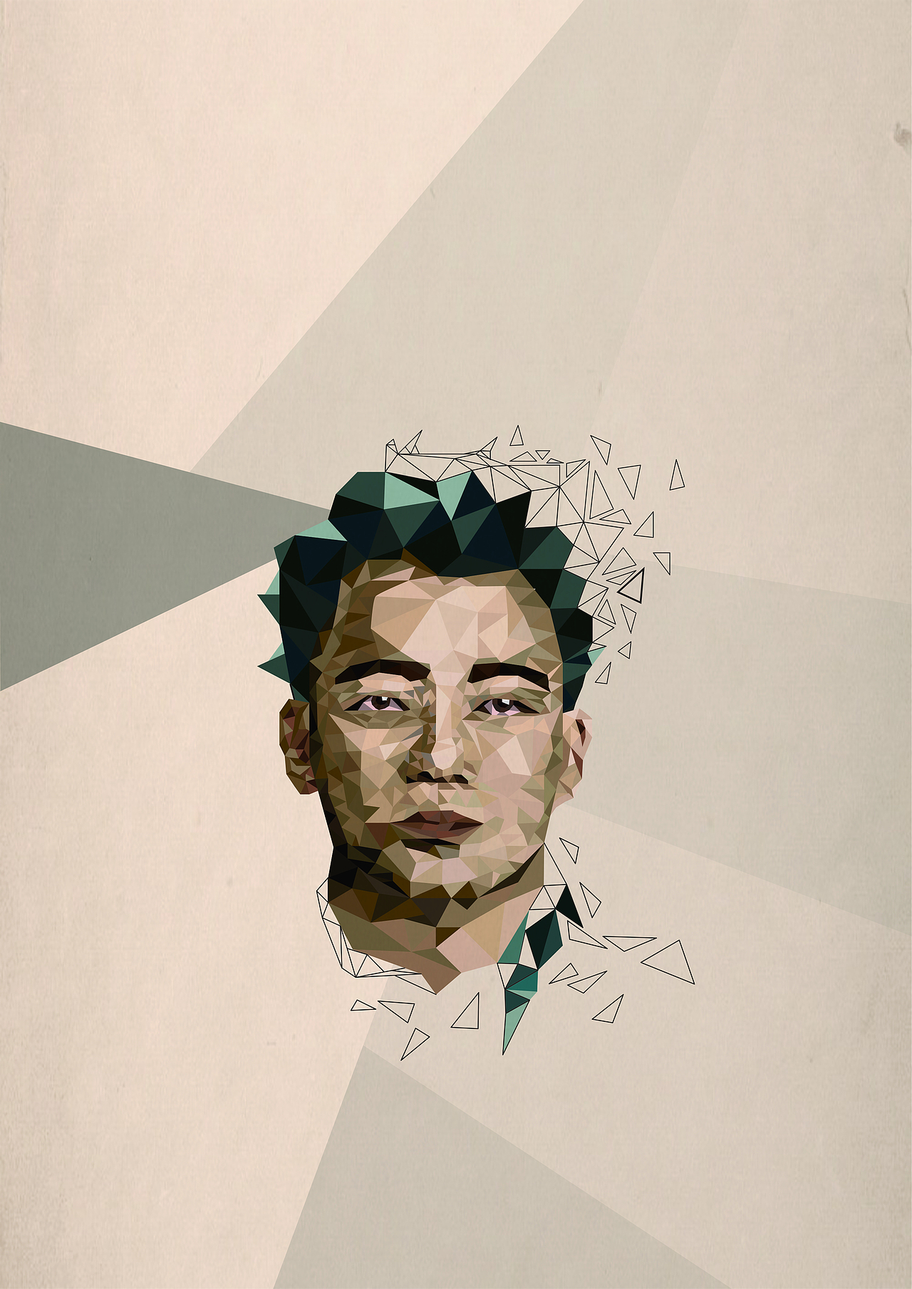 lowpoly风格头像（图ZMTk5NzI0NTU2） - 商业插画 - 站酷设计师鲸鱼不游泳原创素材 - 站酷ZCOOL