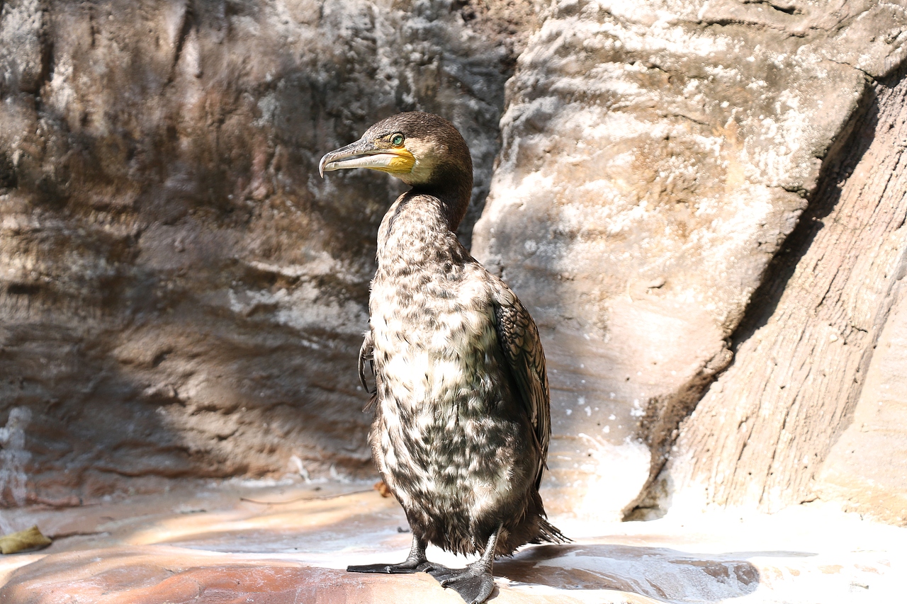 顺德长鹿休闲度假农庄（图ZMjUxNzgzNzQ4） - 风光摄影 - 站酷设计师光速工作室原创素材 - 站酷ZCOOL