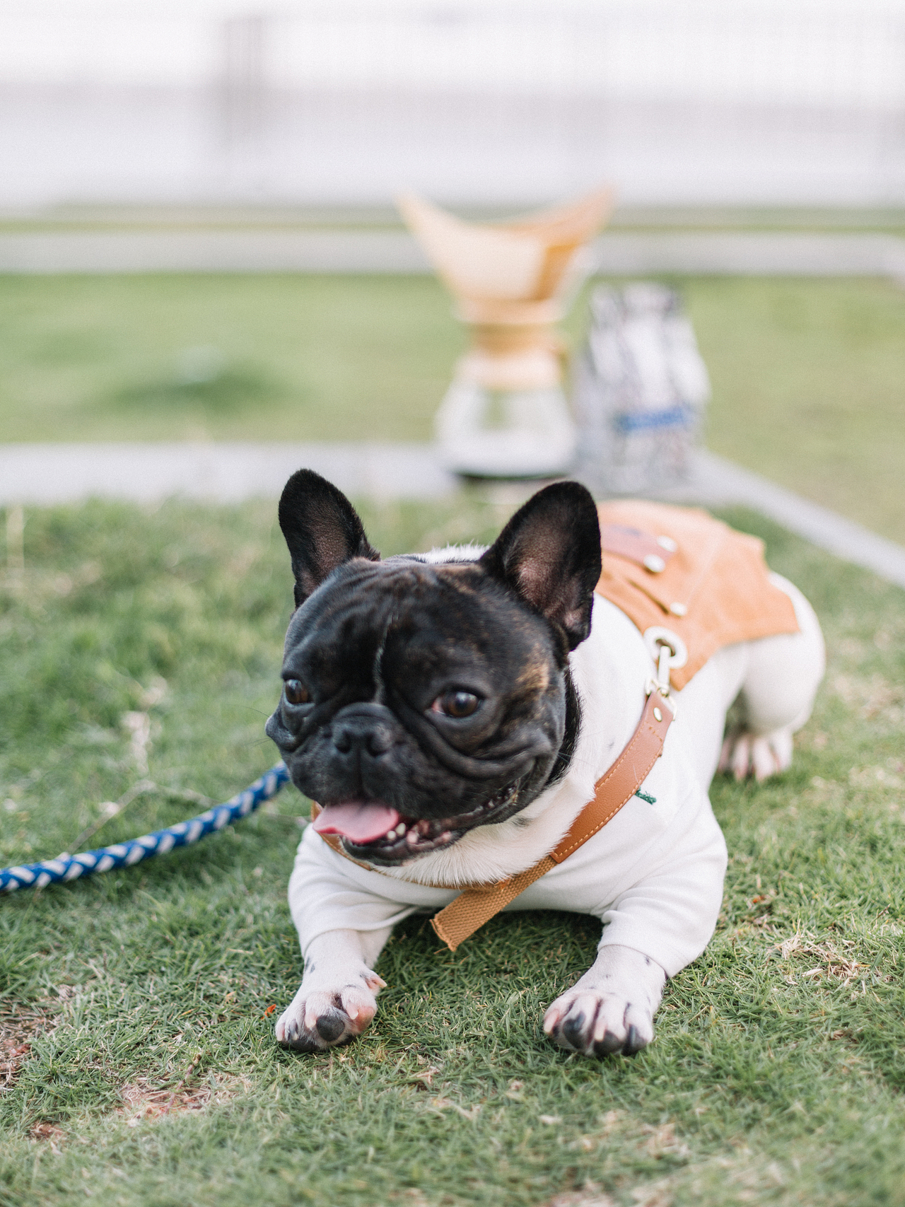 MORSECOFFEE莫思咖啡|淘宝产品拍摄