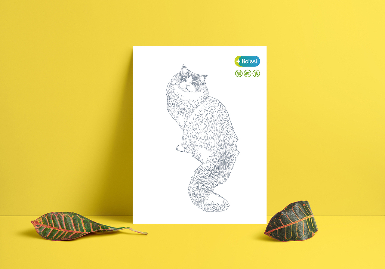 科莱施宠物药品插画(已商用)