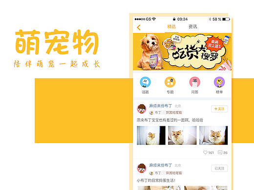 宠物APP