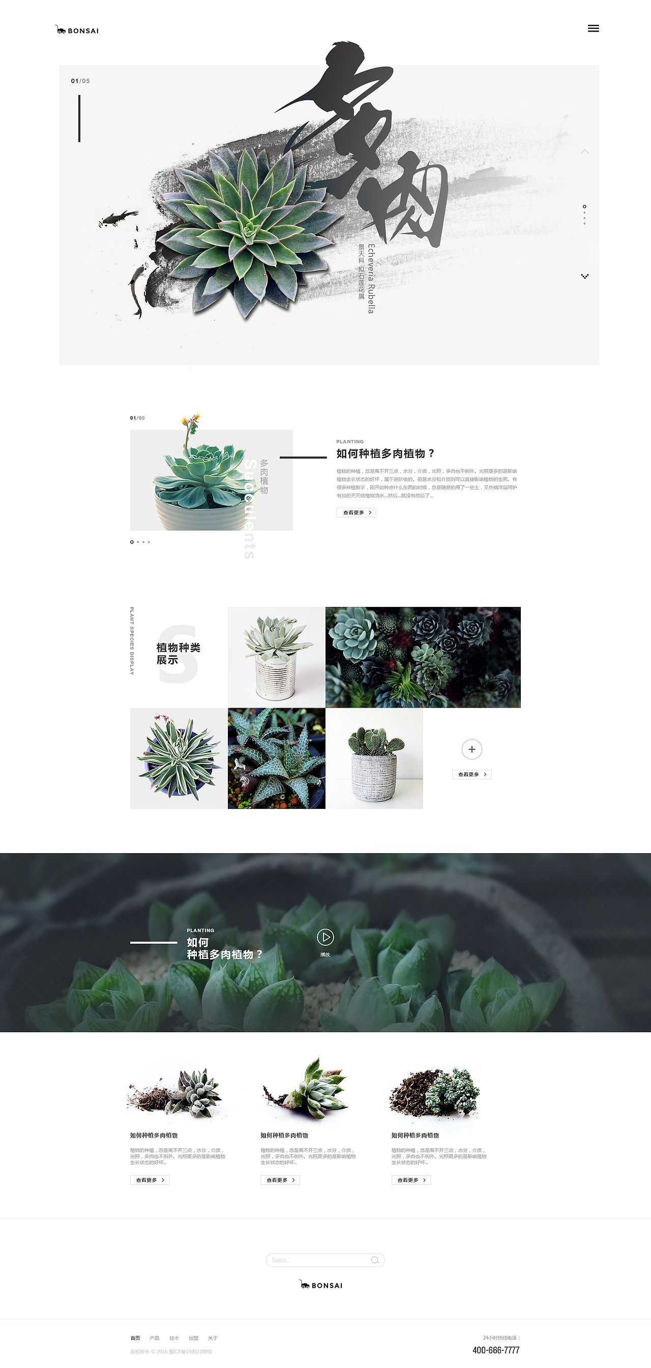 多肉web（圖ZNjYzOTE3NzY=） - 企業(yè)官網(wǎng) - 站酷設(shè)計(jì)師喵嗚lo原創(chuàng)素材 - 站酷ZCOOL