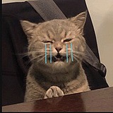 是一颗麻花呀的头像