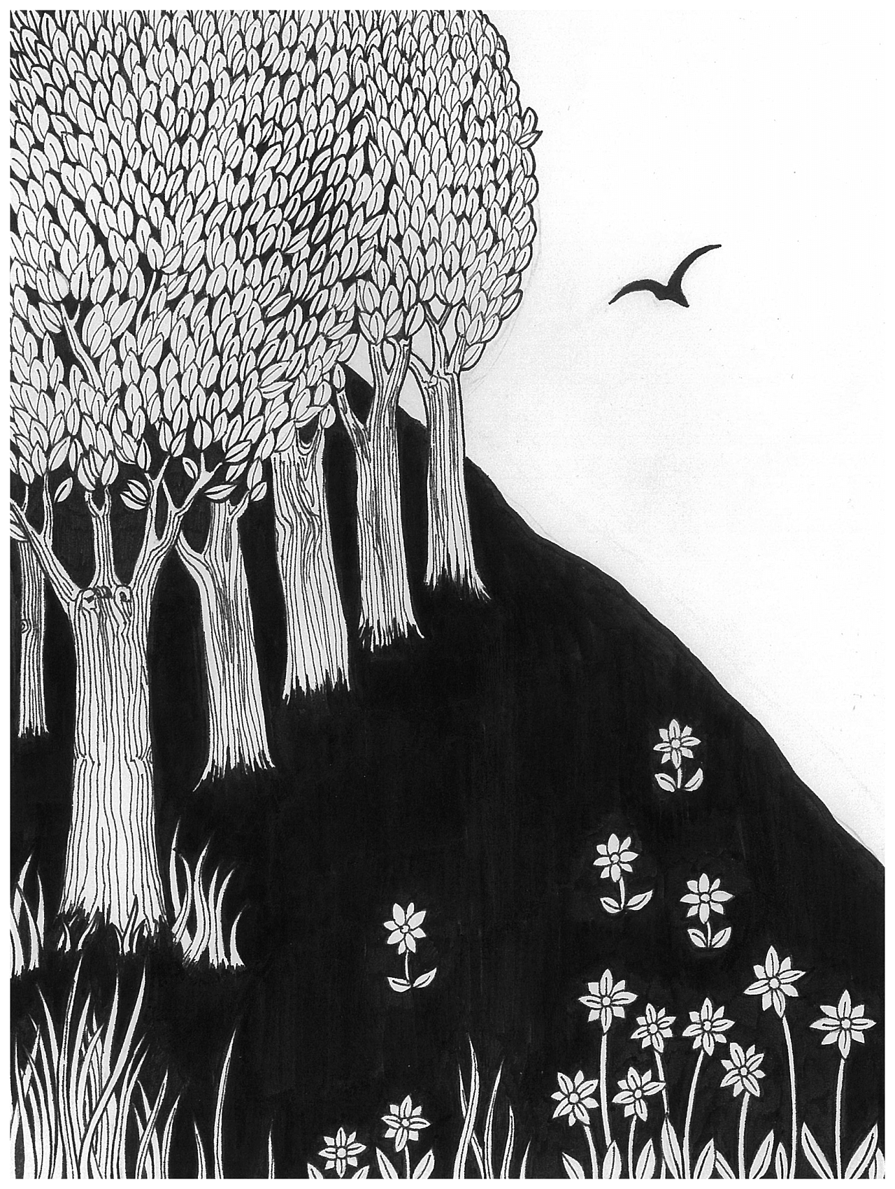 凄美地|插画|插画习作|木东东 - 原创作品 - 站酷