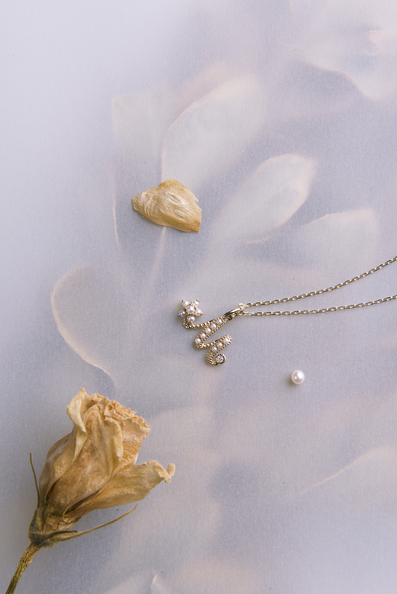 带珍珠的字母项链（图ZMTYxNzY5NDQw） - 产品摄影 - 站酷设计师Dim750原创素材 - 站酷ZCOOL