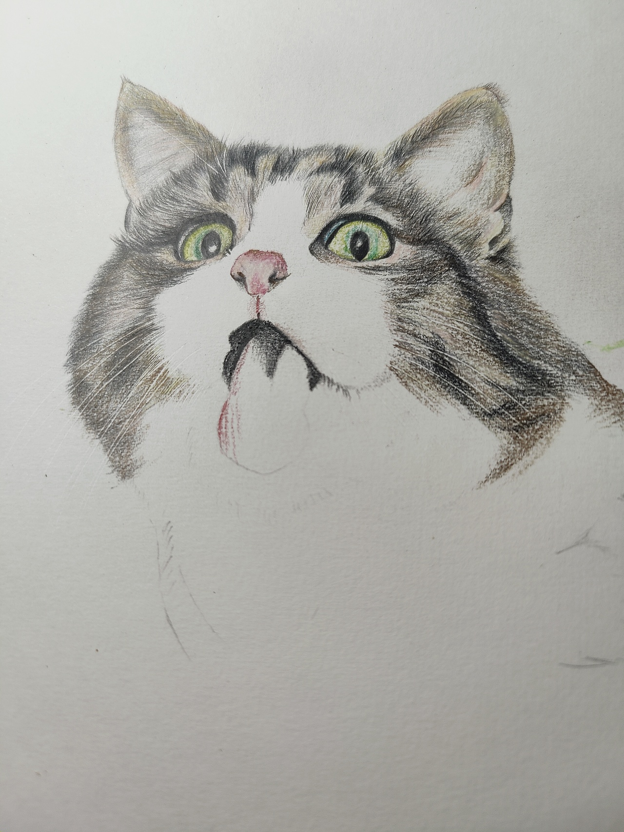 鬼臉貓（圖ZMjM4Njc5MDA4） - 繪畫 - 站酷設(shè)計師可小萌kiko原創(chuàng)素材 - 站酷ZCOOL