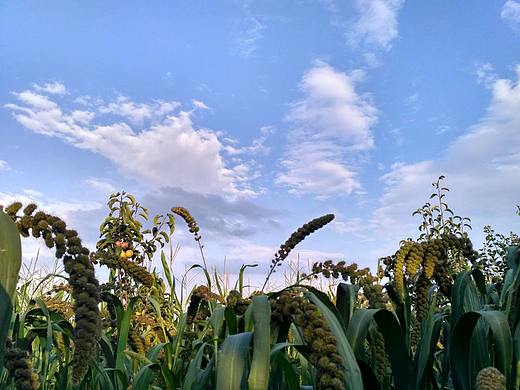 家鄉(xiāng)的美（個人主頁-ZNDI5NTQwMjg=） - 風(fēng)光攝影 - 站酷設(shè)計師慧兒呀原創(chuàng)素材 - 站酷ZCOOL