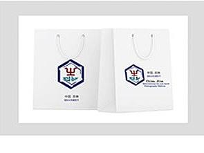 中国·吉林国际冰雪摄影节标志设计