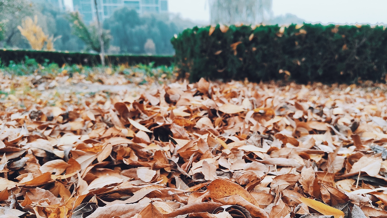 层林尽染（图ZMjc3NzU0MjIw） - 风光摄影 - 站酷设计师平川和也原创素材 - 站酷ZCOOL