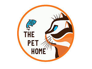 猫咪logo