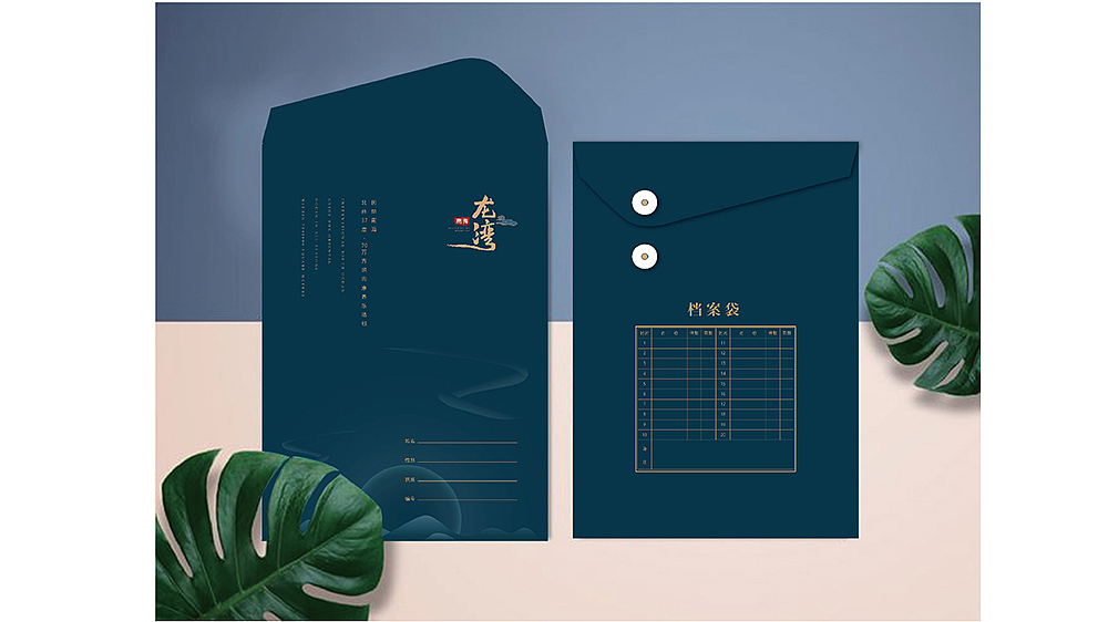 龙湾楼盘方案提报