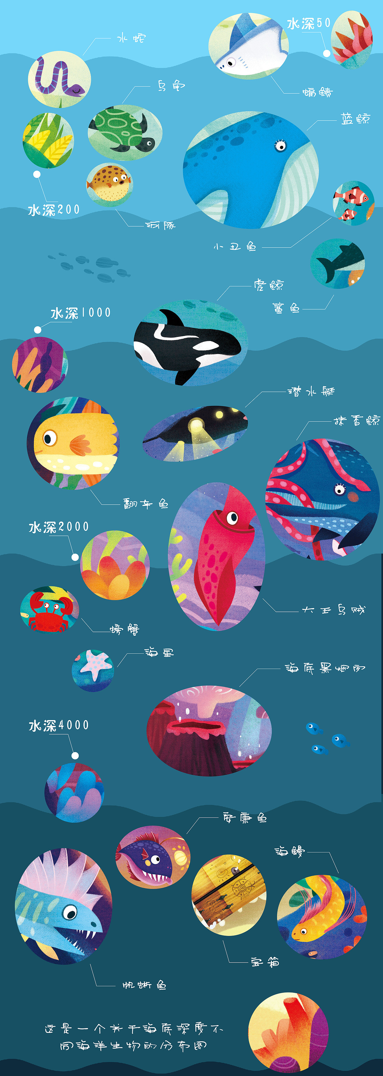 海底不同深度的海洋生物