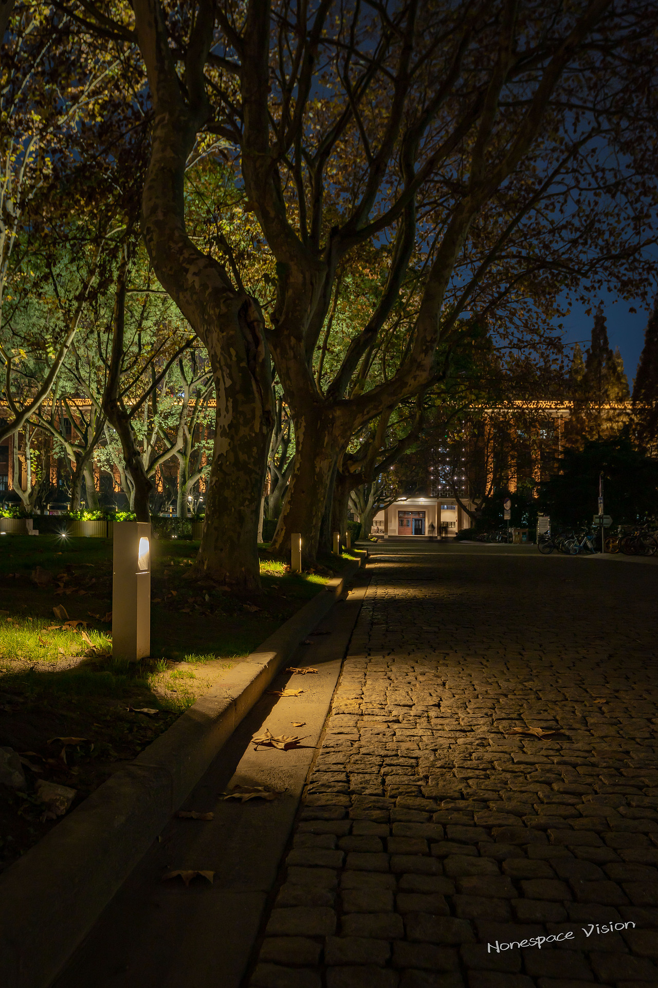 同济大学校园夜景亮化工程