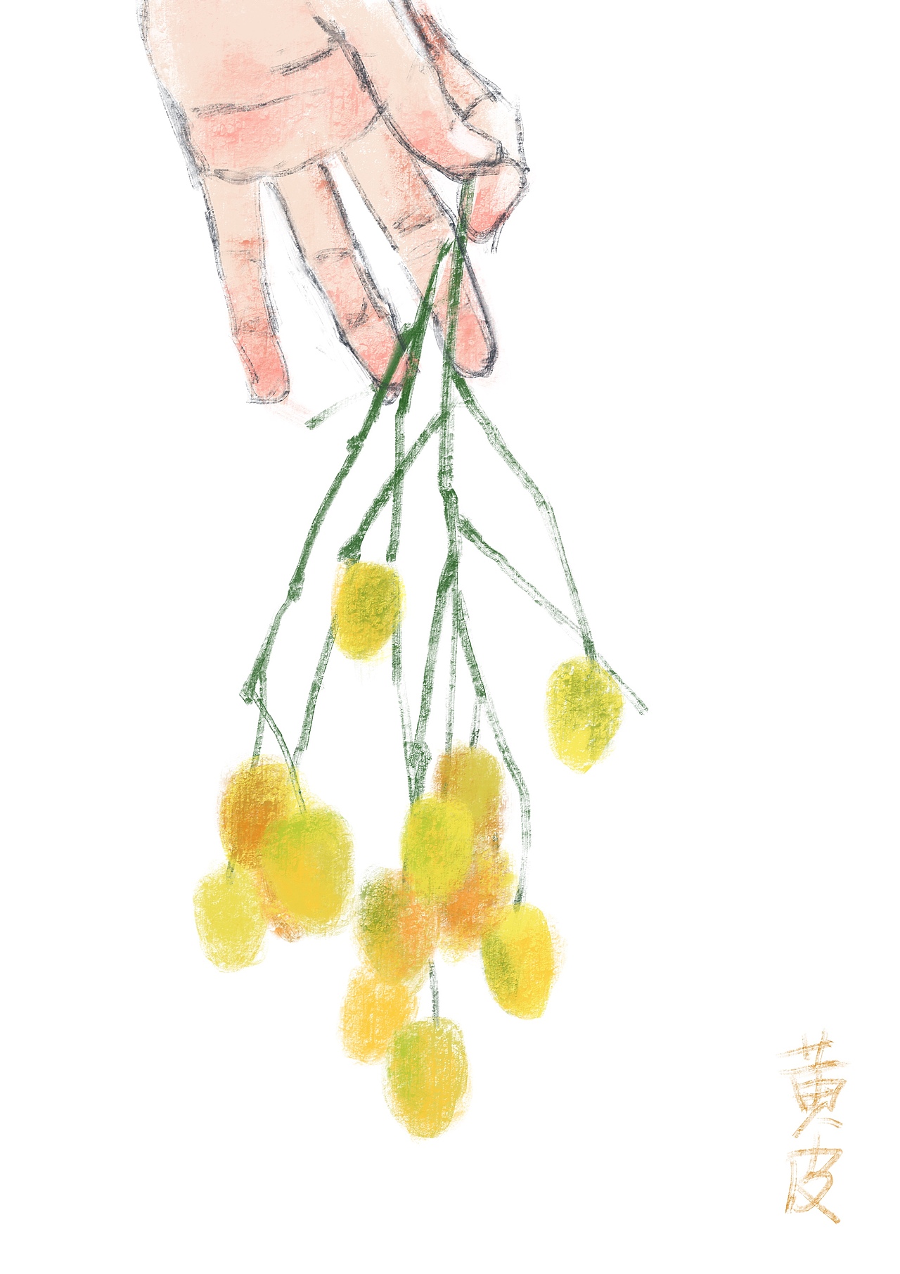 夏日艳果（图ZMTcxMzE4NzM2） - 创作习作 - 站酷设计师四夕www原创素材 - 站酷ZCOOL