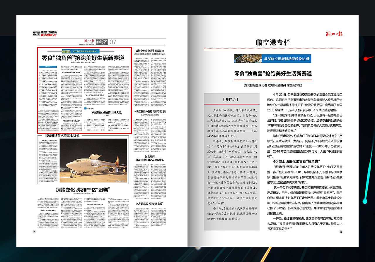 湖北日报新闻报道汇编